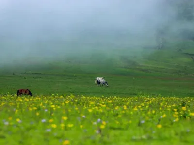 Dhorpatan Tour Package From Pokhara