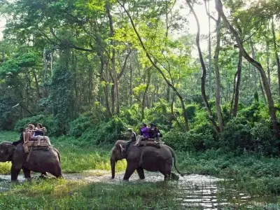 Chitwan Tour Package