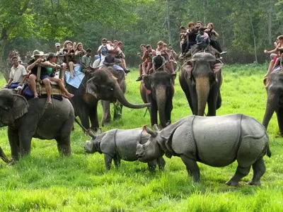 Chitwan Tour Package