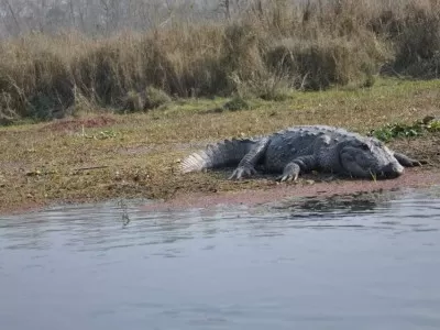 Chitwan Tour Package