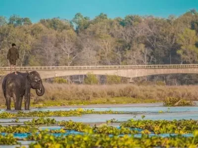 Chitwan Tour Package