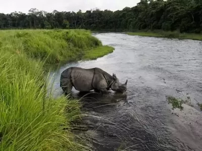Chitwan Tour Package